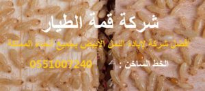 شركة-مكافحة-النمل-الابيض-بالرياض